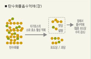 원리